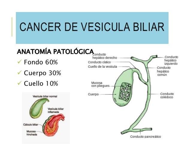Los dolores cerca del ombligo puede las lombrices