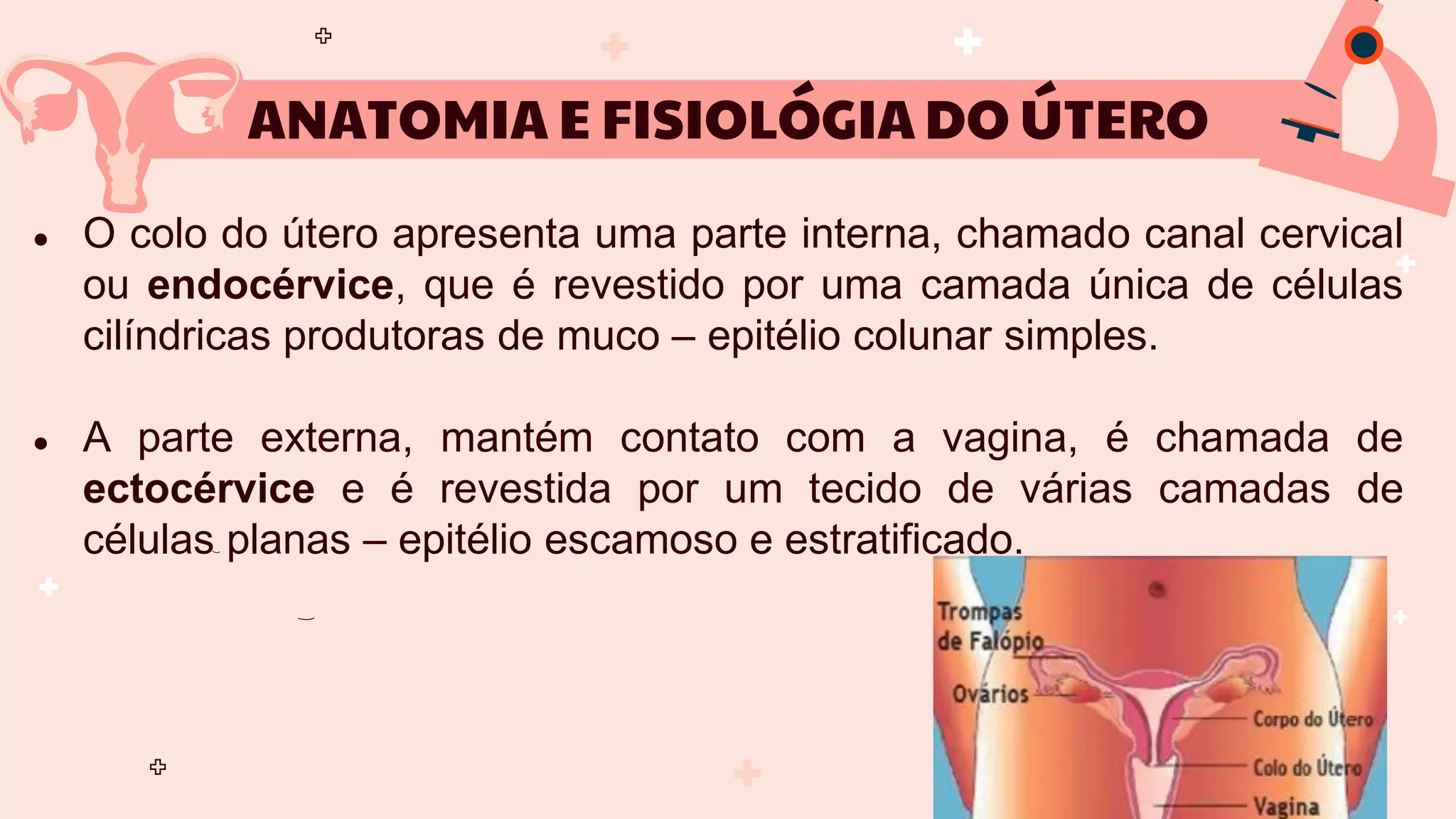CANCER DO COLO DO UTERO.pdf | Reproductive Health | Diseases and Conditions
