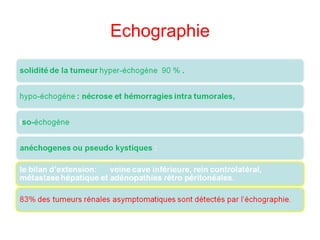 Echographie 