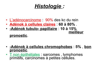 Histologie  : L’adénocarcinome   :  90%  des kc du rein Adénok à cellules claires  :  60 à 80%   . -Adénok tubulo- papillaire  :  10 à 15%   meilleur pronostic .  -Adénok à cellules chromophobes  :  5%  ,  bon pronostic .  T non épithéliales  : sarcomes , lymphomes primitifs, carcinomes à petites cellules. 