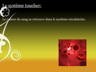 Le système toucher: Le cancer du sang se retrouve dans le système circulatoire. 