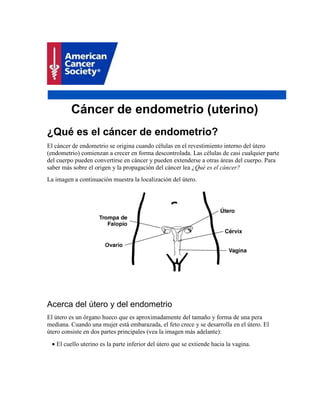 Cáncer de endometrio (uterino)
¿Qué es el cáncer de endometrio?
El cáncer de endometrio se origina cuando células en el revestimiento interno del útero
(endometrio) comienzan a crecer en forma descontrolada. Las células de casi cualquier parte
del cuerpo pueden convertirse en cáncer y pueden extenderse a otras áreas del cuerpo. Para
saber más sobre el origen y la propagación del cáncer lea ¿Qué es el cáncer?
La imagen a continuación muestra la localización del útero.
Acerca del útero y del endometrio
El útero es un órgano hueco que es aproximadamente del tamaño y forma de una pera
mediana. Cuando una mujer está embarazada, el feto crece y se desarrolla en el útero. El
útero consiste en dos partes principales (vea la imagen más adelante):
• El cuello uterino es la parte inferior del útero que se extiende hacia la vagina.
 