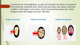 O processo de carcinogênese, ou seja, de formação de câncer, em geral se
dá lentamente, podendo levar vários anos para que uma célula cancerosa
prolifere e dê origem a um tumor visível. Esse processo passa por vários
estágios antes de chegar ao tumor. São eles:
Estágio de iniciação Estágio de promoção Estágio de progressão
 