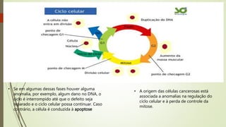 • Se em algumas dessas fases houver alguma
anomalia, por exemplo, algum dano no DNA, o
ciclo é interrompido até que o defeito seja
reparado e o ciclo celular possa continuar. Caso
contrário, a célula é conduzida à apoptose
• A origem das células cancerosas está
associada a anomalias na regulação do
ciclo celular e à perda de controle da
mitose.
 
