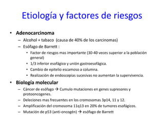 Etiología y factores de riesgos
• Adenocarcinoma
– Alcohol + tabaco (causa de 40% de los carcinomas)
– Esófago de Barrett :
• Factor de riesgos mas importante (30-40 veces superior a la población
general)
• 1/3 inferior esofágico y unión gastroesofágica.
• Cambio de epitelio escamoso a columna.
• Realización de endoscopias sucesivas no aumentan la supervivencia.
• Biología molecular
– Cáncer de esófago  Cumulo mutaciones en genes supresores y
protooncogenes.
– Deleciones mas frecuentes en los cromosomas 3p14, 11 y 12.
– Amplificación del cromosoma 11q13 en 20% de tumores esofágicos.
– Mutación de p53 (anti-oncogén)  esófago de Barrett
 