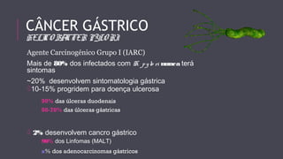 CÂNCER GÁSTRICO 
HELICOBACTER PYLORI 
Agente Carcinogénico Grupo I (IARC) 
Mais de 80% dos infectados com H. p y lo ri nunca terá 
sintomas 
~20% desenvolvem sintomatologia gástrica 
10-15% progridem para doença ulcerosa 
90% das úlceras duodenais 
60-70% das úlceras gástricas 
 2% desenvolvem cancro gástrico 
90% dos Linfomas (MALT) 
x% dos adenocarcinomas gástricos 
 