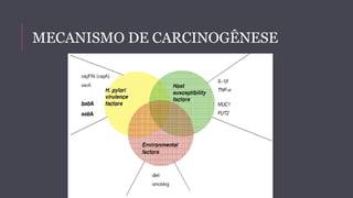 MECANISMO DE CARCINOGÊNESE 
 
