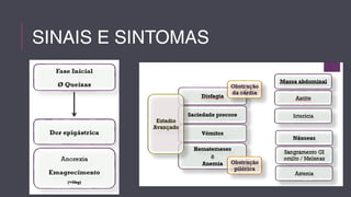 SINAIS E SINTOMAS 
 