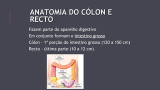 AANNAATTOOMMIIAA DDOO CCÓÓLLOONN EE 
RREECCTTOO 
Fazem parte do aparelho digestivo 
Em conjunto formam o intestino grosso 
Cólon – 1ª porção do intestino grosso (120 a 150 cm) 
Recto – última parte (10 a 12 cm) 
 