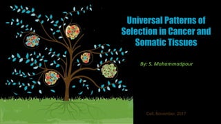 Universal Patterns of
Selection in Cancer and
Somatic Tissues
Cell, November, 2017
By: S. Mohammadpour
 