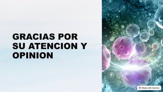 GRACIAS POR
SU ATENCION Y
OPINION
 