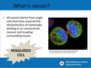What is cancer?
• All cancers derive from single
cells that have acquired the
characteristics of continually
dividing in an unrestrained
manner and invading
surrounding tissues.
Human melanoma cell undergoing cell division
Credit: Paul Smith & Rachel Errington, Wellcome Images
MISGUIDED
CELL
 