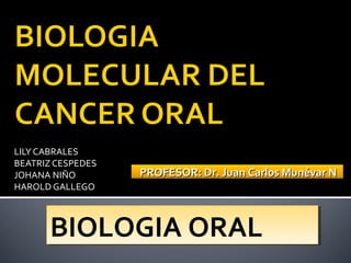 LILY CABRALES
BEATRIZ CESPEDES
JOHANA NIÑO        PROFESOR: Dr. Juan Carlos Munévar N
HAROLD GALLEGO



      BIOLOGIA ORAL
 