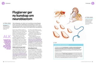 60 Cancerfondsrapporten 2013 Cancerfondsrapporten 2013 61
Det kan tyckas underligt att studier om
fluglarvers tillväxt och utveckling kan leda
till kunskap om hur cancer kan botas. Men
faktum är att cancerforskare ofta söker
ledtrådar i embryonalutvecklingens inveck­
lade processer när de försöker förstå hur
tumörer uppkommer och utvecklas.
Studier på till exempel larver från
bananfluga, Drosophila melanogaster, ger
forskarna möjlighet att på ett mycket
överskådligt sätt lära sig mer om cellernas
kommunikation, vilket sedan kan tilläm­
pas på tumörceller. Det är även så att vissa
cancersjukdomar uppstår och upprätthålls
av att ”avstängda” processer från embryo­
nalutvecklingen vaknar till liv, till exempel
på grund av en genmutation.
Defekt protein kan ge cancer
Två forskargrupper i Umeå under led­
ning av professor Ruth Palmer respektive
professor Bengt Hallberg använder sig av
bananflugan och cellkulturmodeller för att
studera ett protein benämnt ALK, anaplas­
tiskt lymfomkinas. ALK spelar en avgö­
rande roll när olika strukturer formas i den
växande fluglarven, till exempel tarm, ögon
och nervceller. Frågan som Umeåforskarna
försöker besvara är hur ALK-signalering
fungerar i normala, friska celler hos flercel­
liga varelser.
De studerar också molekyler som inter­
agerar med ALK och att förstå hur dessa
påverkar och reglerar varandra.
Samtidigt letar Tommy Martinsson
i Göteborg efter samband mellan neuro­
blastom och nya, okända genetiska för­
ändringar hos patienten.
ALK har tilldragit sig mycket stort
intresse bland cancerforskare under de
senaste åren, eftersom defekta former av
proteinet har visat sig vara förknippat med
en lång rad olika cancersjukdomar, bland
annat lungcancer, lymfom, njurcancer samt
neuroblastom. Det är ett typiskt exempel på
hur mutationer av kraftfulla signalproteiner
kan göra att fredliga celler förvandlas till
anarkistiska tumörceller som inte längre ly­
der kroppens lagar om tillväxt och delning.
Behandling för barn
Ett av Umeåforskarnas projekt har foku­
serat på de mutationer av ALK som kan
observeras vid vissa typer av neuroblastom
och där man ser en närmast okontrollerad
aktivering av proteinet. Gruppens forsk­
ning lägger kunskapsbasen för nya typer
av terapier mot neuroblastom, nervcellstu­
mörer, som uttrycker defekt ALK-protein.
Inte minst handlar det om behandlingar
som är baserade på ALK-hämmare, till
exempel crizotinib.
Fluglarver ger
ny kunskap om
neuroblastom
Vilka cellsignaler styr tillväxt och utveckling av bananflugans
larver? Och vilka är inblandade vid utveckling av cancer? Så-
dana jämförelser gör tre svenska forskargrupper som studerar
signalproteinet ALK och dess roll för bland annat neuroblastom.
förklaring
Neuroblastom är en
tumörform som utgår
från nervvävnad. Den
drabbar oftast barn
under två år.
forskningforskning
alk
Hett protein för cancerforskare
ALK tillhör de så kallade tyrosinkinaserna – en familj av mycket kraftfulla signal­
proteiner som ofta spelar en central roll vid olika typer av cancersjukdomar.
Tyrosinkinasernas grundfunktion är att ”märka” en målmolekyl genom att fästa en
fosfatgrupp vid denna; på så sätt kan de tjänstgöra som en av/på-knapp för olika
biologiska processer.
Ett flertal av de cancerläkemedel som introducerats de senaste decennierna utövar
sin effekt just genom att hämma olika tyrosinkinaser. Ett av de mest uppmärksam-
made under de senaste åren är crizotinib (Xalkori) som är en specifik ALK-hämmare.
Det är utvecklat för behandling av bland annat icke småcellig lungcancer och är bara
effektivt vid en typ av lungcancertumör som uttrycker en defekt ALK-gen – så kallad
ALK-positiv typ. Läkemedlet godkändes i USA 2011 och i Europa 2012.
Anaplastiskt lym-
fomkinas spelar
en avgörande roll
när olika struk­
turer formas i
den växande flug­
larven, till exempel
tarm, ögon och
nervceller.
ALK
förklaring
Forskare i Umeå studerar
bananflugan Drosophila
melanogasters larver
för att vinna kunskap
om det cancerrelaterade
proteinet ALK.
 