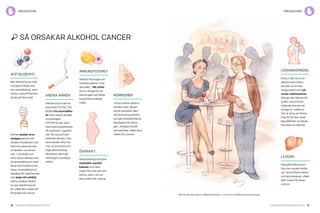 76 Cancerfondsrapporten 2013 Cancerfondsrapporten 2013 77
preventionprevention
acetaldehyd
När alkohol bryts ned
i kroppen bildas äm-
net acetaldehyd, som
verkar cancerframkal-
lande på flera sätt.
Ämnet skadar arvs­
anlagen genom att
orsaka mutationer och
hämma reparationen
av skador i arvsmas-
san. I munhåla och
tarm bryts alkohol ned
till acetaldehyd av bak-
terier och halterna blir
höga. Acetaldehyd är
skadligt för slemhinnan
och leder till celldöd.
Detta orsakar tillväxt
av nya slemhinnecel-
ler, vilket ökar risken för
förstadier till cancer.
Lösningsmedel
Etanol, den form av
alkohol som finns i
drycker, är ett lös-
ningsmedel som på­
verkar cellmembran.
Det gör det lättare för
andra cancerfram-
kallande ämnen att
tränga in i cellerna.
Det är ännu en förkla-
ring till att den skad-
liga effekten av tobak
förstärks av alkohol.
andra ämnen
Alkohol bryts ned av
enzymet CYP2E1. Då
bildas fria syreradika­
ler som också skadar
arvsanlagen.
CYP2E1 bryter även
ned andra substanser,
till exempel i cigarett-
rök, till cancerfram-
kallande ämnen. Den
som dricker ofta har
mer av enzymet och
högt alkoholintag
förstärker därmed
rökningens skadliga
effekt.
Immunsystemet
Alkohol försvagar im-
munförsvarets ”mör-
darceller”, NK-celler.
De är viktiga för att
känna igen och döda
tumöromvandlade
celler.
hormoner
I bröst verkar alkohol
på flera sätt. Bland
annat påverkar alko-
hol hormonsystemet,
och gör bröstkörtlarna
känsligare för östro-
gen. Andelen körtel-
vävnad ökar, vilket ökar
risken för cancer.
Övervikt
Alkoholhaltiga drycker
innehåller mycket
kalorier och ökar
risken för övervikt och
fetma, som i sin tur
ökar risken för cancer.
Levern
Hög alkoholkonsum-
tion kan orsaka fettle-
ver, leverinflammation
och skrumplever, vilket
ökar risken för lever-
cancer.
så orsakar alkohol cancer
Alkohol och rökning är en dålig kombination – som ännu är tillåten på uteserveringar.
 