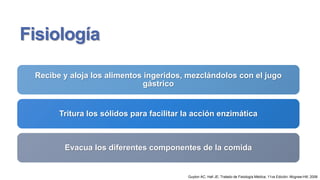 Fisiología
Recibe y aloja los alimentos ingeridos, mezclándolos con el jugo
gástrico

Tritura los sólidos para facilitar la acción enzimática

Evacua los diferentes componentes de la comida

Guyton AC, Hall JE; Tratado de Fisiología Médica; 11va Edición; Mcgraw-Hill; 2006

 