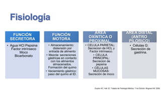 Fisiología
FUNCIÓN
SECRETORA

FUNCIÓN
MOTORA

AREA
OXÍNTICA O
PROXIMAL.

• Agua HCl Pepsina
Factor intrínseco
Moco
Bicarbonato

• Almacenamiento:
distensión por
entrada de alimento
• Mezcla: secreciones
gástricas en contacto
con los alimentos
almacenados.
Formación del quimo
• Vaciamiento gástrico:
paso del quimo al ID.

• CELULA PARIETAL:
Secrecion de HCL y
Factor intrínseco.
• CELULA
PRINCIPAL:
Secrecion de
pepsina
• CÉLULAS
MUCOSAS:
Secreción de moco

ÁREA DISTAL
(ANTRO
PILÓRICO)
• Células G:
Secreción de
gastrina.

Guyton AC, Hall JE; Tratado de Fisiología Médica; 11va Edición; Mcgraw-Hill; 2006

 