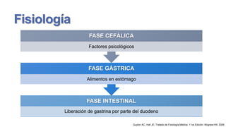 Fisiología
FASE CEFÁLICA
Factores psicológicos

FASE GÁSTRICA
Alimentos en estómago

FASE INTESTINAL
Liberación de gastrina por parte del duodeno
Guyton AC, Hall JE; Tratado de Fisiología Médica; 11va Edición; Mcgraw-Hill; 2006

 