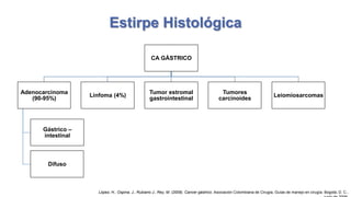 Estirpe Histológica
CA GÁSTRICO

Adenocarcinoma
(90-95%)

Linfoma (4%)

Tumor estromal
gastrointestinal

Tumores
carcinoides

Leiomiosarcomas

Gástrico –
intestinal

Difuso

López, H., Ospina, J., Rubiano J., Rey, M. (2009). Cancer gástrico. Asociación Colombiana de Cirugía, Guías de manejo en cirugía. Bogotá, D. C.,

 