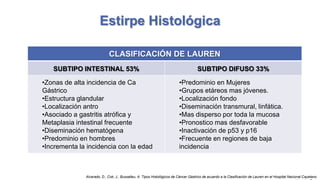 Estirpe Histológica
CLASIFICACIÓN DE LAUREN
SUBTIPO INTESTINAL 53%
•Zonas de alta incidencia de Ca
Gástrico
•Estructura glandular
•Localización antro
•Asociado a gastritis atrófica y
Metaplasia intestinal frecuente
•Diseminación hematógena
•Predominio en hombres
•Incrementa la incidencia con la edad

SUBTIPO DIFUSO 33%
•Predominio en Mujeres
•Grupos etáreos mas jóvenes.
•Localización fondo
•Diseminación transmural, linfática.
•Mas disperso por toda la mucosa
•Pronostico mas desfavorable
•Inactivación de p53 y p16
•Frecuente en regiones de baja
incidencia

Alvarado, D., Cok, J., Bussalleu, A. Tipos Histológicos de Cáncer Gástrico de acuerdo a la Clasificación de Lauren en el Hospital Nacional Cayetano

 