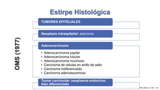 Estirpe Histológica
TUMORES EPITELIALES

OMS (1977)

Neoplasia intraepitelial: adenoma

Adenocarcinoma
•
•
•
•
•
•

Adenocarcinoma papilar
Adenocarcinoma tubular
Adenocarcinoma mucinoso
Carcinoma de células en anillo de sello
Carcinoma indiferenciado
Carcinoma adenoescamoso

Tumor carcinoide: neoplasma endocrino
bien diferenciado
Espejo, H., Navarrete, J. Clasificación de los Adenocarcinomas de estómago. REV. GASTROENTEROL. PERÚ 2003; 23: 199 – 212.

 