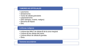 TUMORES NO EPITELIALES
•
•
•
•
•
•
•

Leiomioma
Schawnnoma
Tumor de células granulares
Leiomiosarcoma
GIST (benigno, incierto, maligno)
Sarcoma de Kaposi
Otro

Linfomas malignos
•
•
•
•

Linfoma tipo MALT de células B de la zona marginal
Linfoma de las células del manto
Linfoma difuso de células B grandes
Otros

Tumores secundarios

 