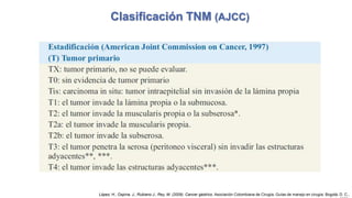 Clasificación TNM (AJCC)

López, H., Ospina, J., Rubiano J., Rey, M. (2009). Cancer gástrico. Asociación Colombiana de Cirugía, Guías de manejo en cirugía. Bogotá, D. C.,

 
