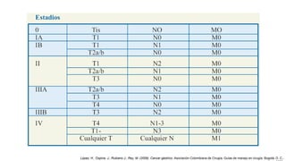 López, H., Ospina, J., Rubiano J., Rey, M. (2009). Cancer gástrico. Asociación Colombiana de Cirugía, Guías de manejo en cirugía. Bogotá, D. C.,

 