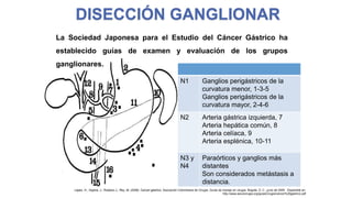 DISECCIÓN GANGLIONAR
La Sociedad Japonesa para el Estudio del Cáncer Gástrico ha
establecido guías de examen y evaluación de los grupos
ganglionares.
N1

Ganglios perigástricos de la
curvatura menor, 1-3-5
Ganglios perigástricos de la
curvatura mayor, 2-4-6

N2

Arteria gástrica izquierda, 7
Arteria hepática común, 8
Arteria celíaca, 9
Arteria esplénica, 10-11

N3 y
N4

Paraórticos y ganglios más
distantes
Son considerados metástasis a
distancia.

López, H., Ospina, J., Rubiano J., Rey, M. (2009). Cancer gástrico. Asociación Colombiana de Cirugía, Guías de manejo en cirugía. Bogotá, D. C., junio de 2009. Disponible en:
http://www.ascolcirugia.org/guiasCirugia/cancer%20gastrico.pdf

 