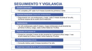 SEGUIMIENTO Y VIGILANCIA
Control sistemático
• HC completa y EF cada 4 a 6 meses durante los primeros 3 años
Tumores tempranos (resección endoscópica)
• Seguimiento con una endoscopia y, luego, cada 3 meses durante el 1er año,
tomando biopsia de la cicatriz de la resección
Gastrectomía
• 1er año endoscopia cada 6 meses y, luego endoscopia anual durante los
primeros 5 años y, luego, cada 2 años hasta los 10 años.
Pacientes con tumores t2
• Control en consulta 3 veces al año durante los 3 primeros años; luego, 1 vez
al año hasta los 5 años y cada 2 años hasta los 10 años.

Tumores avanzados (t3-t4)
• Consulta médica cada 3 meses durante el 1er año.
Supervisar niveles de B12  gastrectomía total.
López, H., Ospina, J., Rubiano J., Rey, M. (2009). Cancer gástrico. Asociación Colombiana de Cirugía, Guías de manejo en cirugía. Bogotá, D. C.,
junio de 2009. Disponible en: http://www.ascolcirugia.org/guiasCirugia/cancer%20gastrico.pdf

 