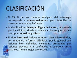 CLASIFICACIÓN
• El 95 % de los tumores malignos del estómago
corresponde a adenocarcinomas, pero también se
observan sarcomas y linfomas.
• La clasificación clinicopatológica de Lauren, muy usada
por los clínicos, divide al adenocarcinoma gástrico en
dos tipos: intestinal y difuso.
• El tipo intestinal incluye tumores bien diferenciados,
con tendencia a formar glándulas, por lo general son
lesiones bien definidas, ulceradas, precedidas por
lesiones precursoras y confinadas al cuerpo y antro
gástricos. Tienen mejor pronóstico.
 