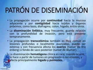 PATRÓN DE DISEMINACIÓN
• La propagación ocurre por continuidad hacia la mucosa
adyacente y por contigüidad hacia tejidos y órganos
próximos, como bazo, diafragma, colon, hígado, entre otros.
• La diseminación linfática, muy frecuente, guarda relación
con la profundidad de invasión, pero está presente
tempranamente.
• La propagación transcelómica también es muy común en
lesiones profundas o localmente avanzadas, puede ser
extensa y con frecuencia afecta los ovarios (tumor de Kru
enberg) o fondo de saco posterior (tumor de Blumer).
• La diseminación hematógena clínica es rara; cuando ocurre,
lo hace a partir de tumores en progresión o recurrentes, y
afecta principalmente hígado y pulmones.
 