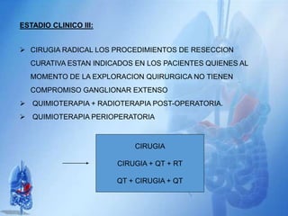 ESTADIO CLINICO III:
 CIRUGIA RADICAL LOS PROCEDIMIENTOS DE RESECCION
CURATIVA ESTAN INDICADOS EN LOS PACIENTES QUIENES AL
MOMENTO DE LA EXPLORACION QUIRURGICA NO TIENEN
COMPROMISO GANGLIONAR EXTENSO
 QUIMIOTERAPIA + RADIOTERAPIA POST-OPERATORIA.
 QUIMIOTERAPIA PERIOPERATORIA
CIRUGIA
CIRUGIA + QT + RT
QT + CIRUGIA + QT
 