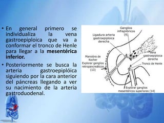 • En general primero se
individualiza la vena
gastroepiploica que va a
conformar el tronco de Henle
para llegar a la mesentérica
inferior.
• Posteriormente se busca la
arteria gastroepiplóica
siguiendo por la cara anterior
del páncreas llegando a ver
su nacimiento de la arteria
gastroduodenal.
 