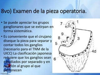 8vo) Examen de la pieza operatoria.
• Se puede apreciar los grupos
ganglionares que se extirpan en
forma sistemática.
• Es conveniente que el cirujano
diseque la pieza para separar y
contar todos los ganglios
(necesario para el TNM de la
UICC) La clasificación japonesa
requiere que los ganglios sean
estudiados por separado y en
relación al grupo al que
pertenecen
 