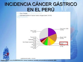INCIDENCIA CÁNCER GÁSTRICO
EN EL PERÚ
Fuente: Ferlay J. et al. GLOBOCAN 2012: Cancer incidence, mortality and prevalence worldwide. IARC
 