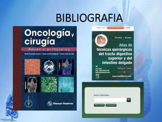 BIBLIOGRAFIA
 