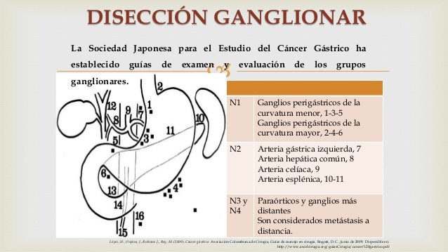 grupos ganglionares estomago pdf cancer gastrico grupos ganglionares estomago pdf cancer gastrico