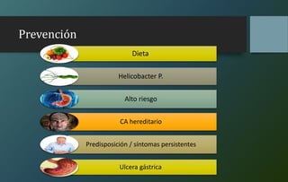 Prevención
Dieta
Helicobacter P.
Alto riesgo
CA hereditario
Predisposición / síntomas persistentes
Ulcera gástrica
 