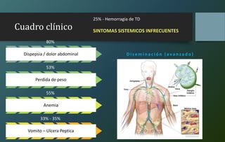 Cuadro clínico
80%
Dispepsia / dolor abdominal
53%
Perdida de peso
55%
Anemia
33% - 35%
Vomito – Ulcera Peptica
25% - Hemorragia de TD
SINTOMAS SISTEMICOS INFRECUENTES
D i s e m i n a c i ó n ( a v a n z a d o )
 