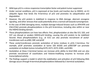Cancer Gene Pathways : tp53 the guardian of the genome | PPTX
