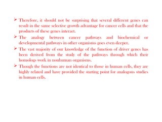 Cancer Gene Pathways : tp53 the guardian of the genome | PPTX