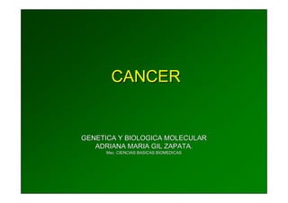 CANCER


GENETICA Y BIOLOGICA MOLECULAR
   ADRIANA MARIA GIL ZAPATA.
      Msc. CIENCIAS BASICAS BIOMEDICAS
      Msc.
 