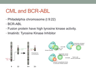 CML and BCR-ABL
• Philadelphia chromosome (t 9:22)
• BCR-ABL
• Fusion protein have high tyrosine kinase activity.
• Imatinib: Tyrosine Kinase Inhibitor
 
