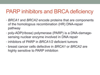 PARP inhibitors and BRCA deficiency
• BRCA1 and BRCA2 encode proteins that are components
of the homologous recombination (HR) DNA-repair
pathway
• poly-ADP(ribose) polymerase (PARP) is a DNA-damage-
sensing nuclear enzyme involved in DNA repair
• inhibitors of PARP in BRCA1/2 deficient tumors
• breast cancer cells defective in BRCA1 or BRCA2 are
highly sensitive to PARP inhibition
 