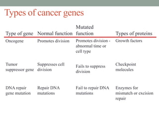 Types of cancer genes
Types of proteins
Mutated
functionNormal functionType of gene
Enzymes for
mismatch or excision
repair
Fail to repair DNA
mutations
Repair DNA
mutations
DNA repair
gene mutation
Checkpoint
molecules
Fails to suppress
division
Suppresses cell
division
Tumor
suppressor gene
Growth factorsPromotes division -
abnormal time or
cell type
Promotes divisionOncogene
 