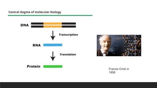 Francis Crick in
1958
 