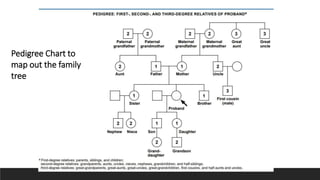 Pedigree Chart to
map out the family
tree
 