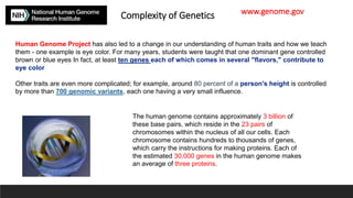 Complexity of Genetics
Human Genome Project has also led to a change in our understanding of human traits and how we teach
them - one example is eye color. For many years, students were taught that one dominant gene controlled
brown or blue eyes In fact, at least ten genes each of which comes in several "flavors," contribute to
eye color
Other traits are even more complicated; for example, around 80 percent of a person's height is controlled
by more than 700 genomic variants, each one having a very small influence.
www.genome.gov
The human genome contains approximately 3 billion of
these base pairs, which reside in the 23 pairs of
chromosomes within the nucleus of all our cells. Each
chromosome contains hundreds to thousands of genes,
which carry the instructions for making proteins. Each of
the estimated 30,000 genes in the human genome makes
an average of three proteins.
 