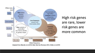 High risk genes
are rare, lower
risk genes are
more common
 